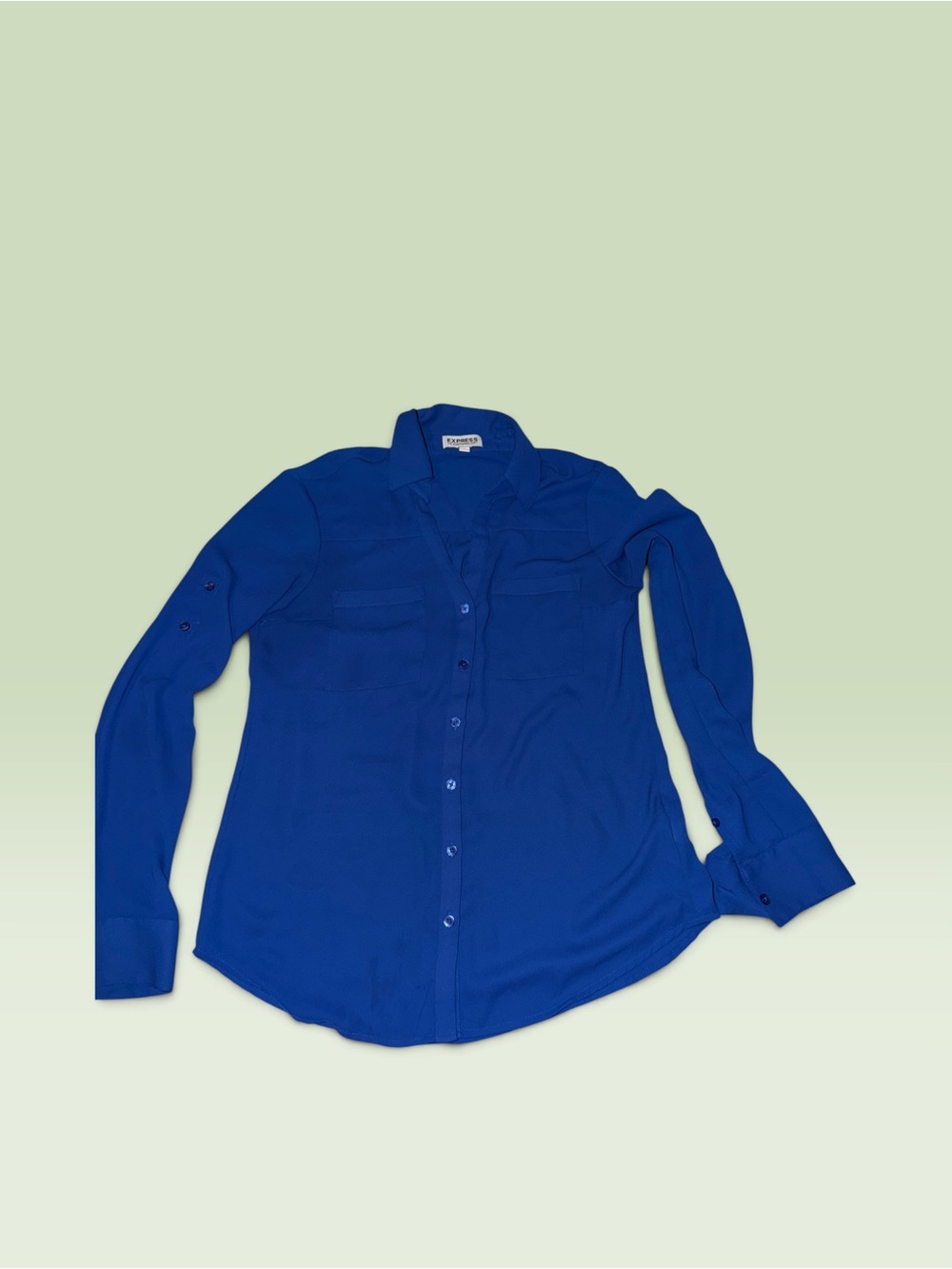 Express Blue Button-Down Blouse